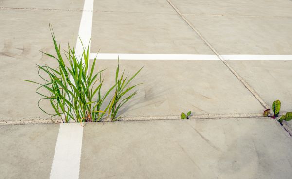 Concrete Parking Installation in Santa Maria